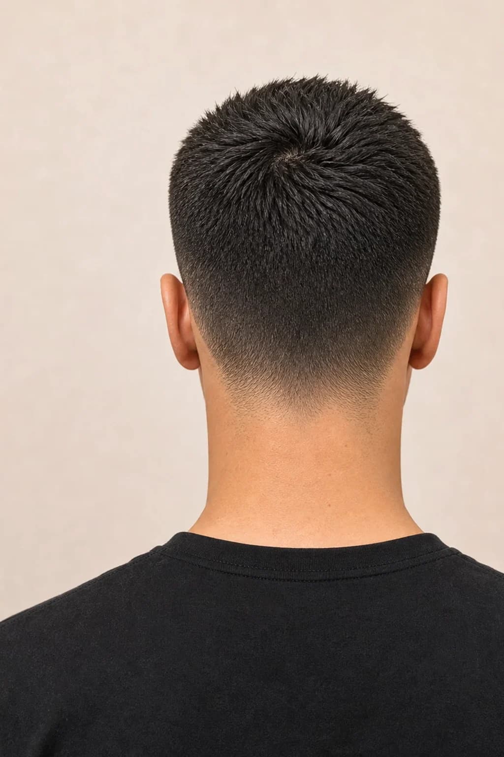Francés — comparativa de cortes de pelo